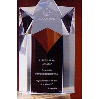 Megastar Award (6"x3"x2")