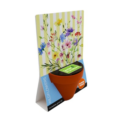 Terracotta Grow Kit - Flower Power