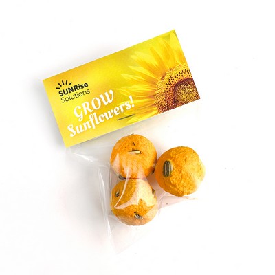 Sunflower Seed Bombs Cellopack 3