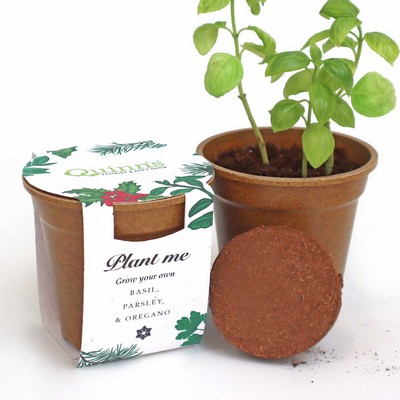 Season's Greenings Herb Seed Paper Sprouter Kits