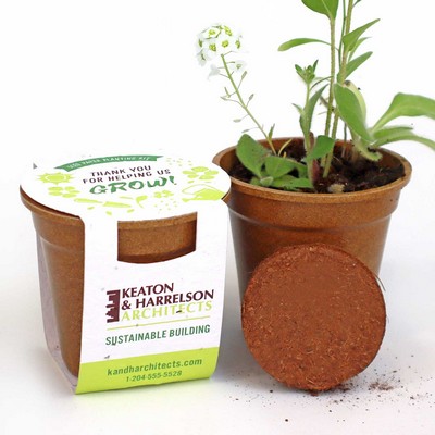 Wildflower Seed Paper Sprouter Kits